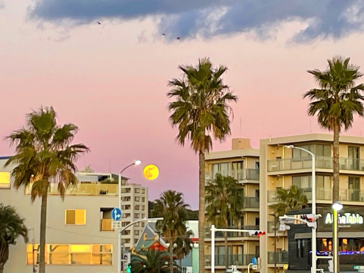 ちいちゃん (@u_chan_chii) / Posts / X