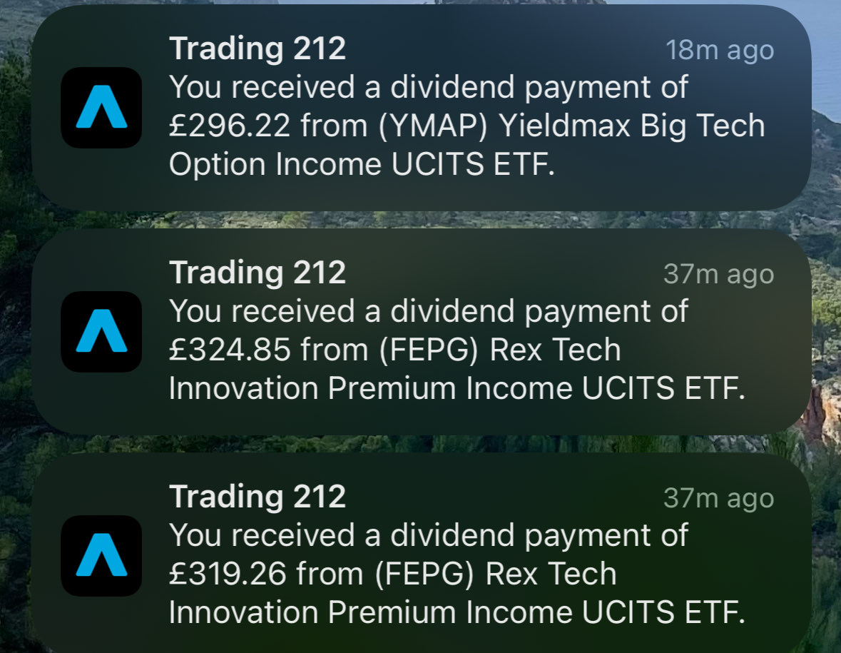 Does bcmgw have a dividend system?.rmv