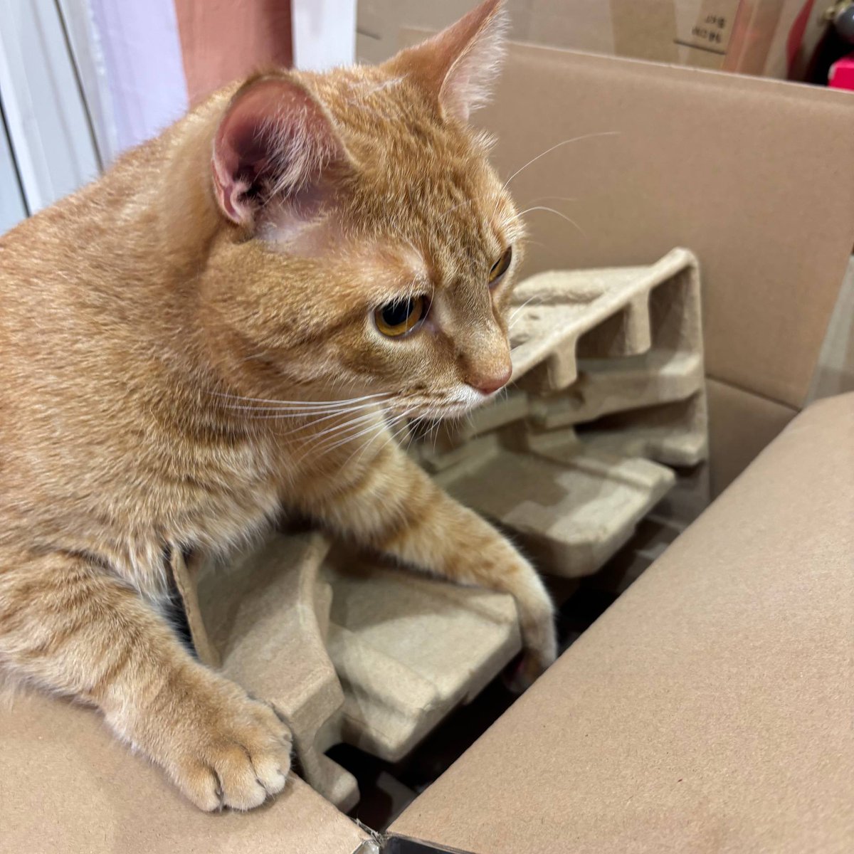 свиня виглядає ваші донати на тачки

send.monobank.ua/jar/9JdbJE8u6W