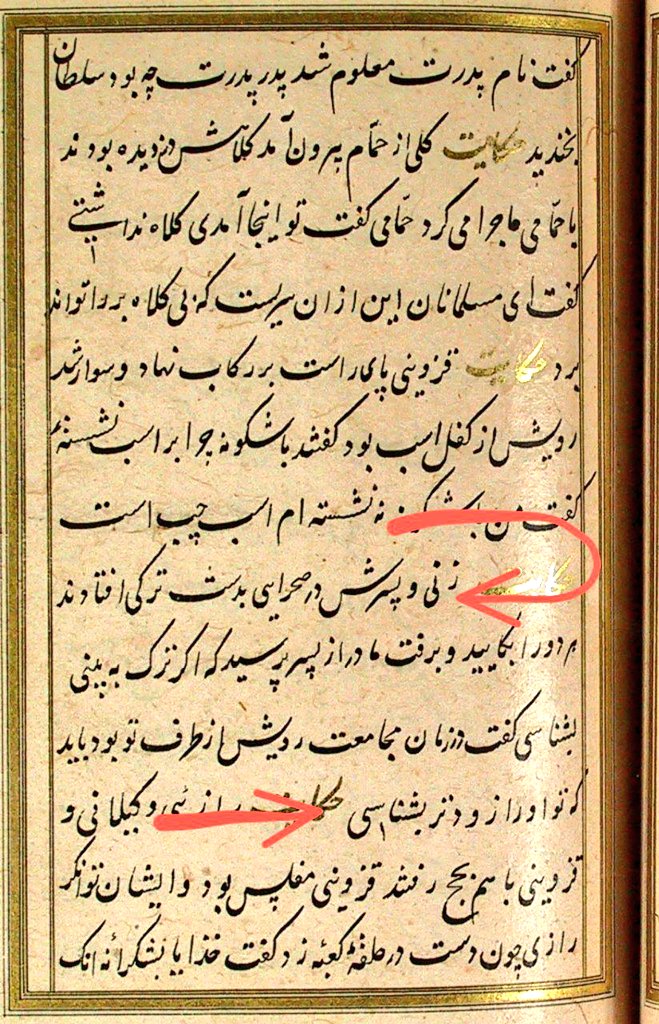 طهماسب بیگلربیگی tweet media