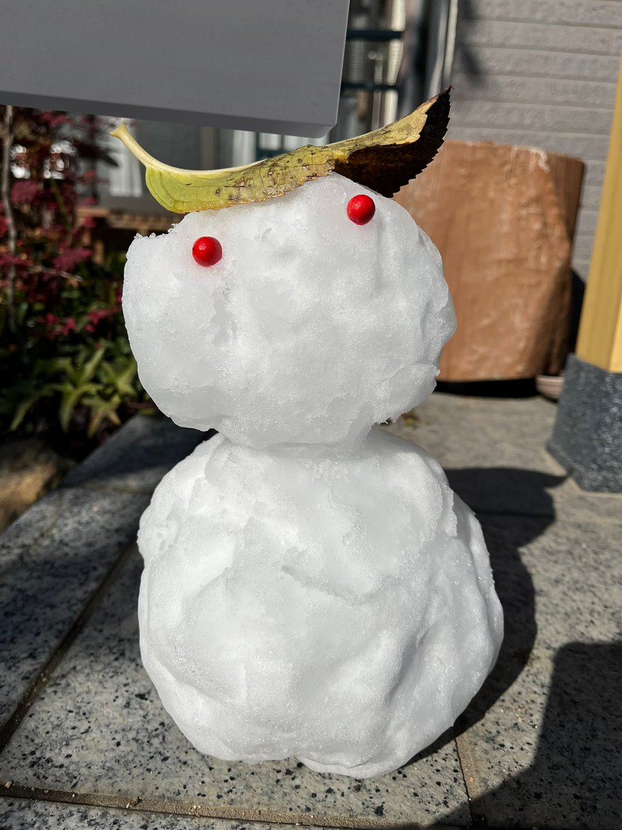 mejiro_3rd's tweet image. 仲間が増えました