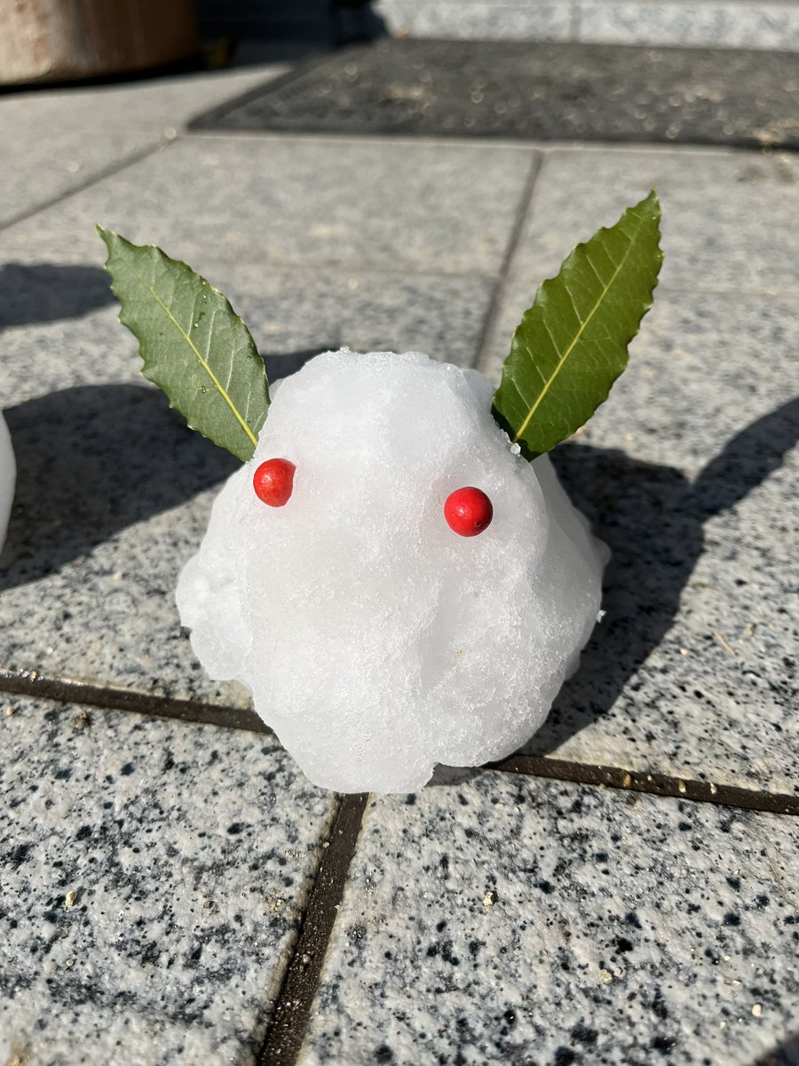 mejiro_3rd's tweet image. 仲間が増えました