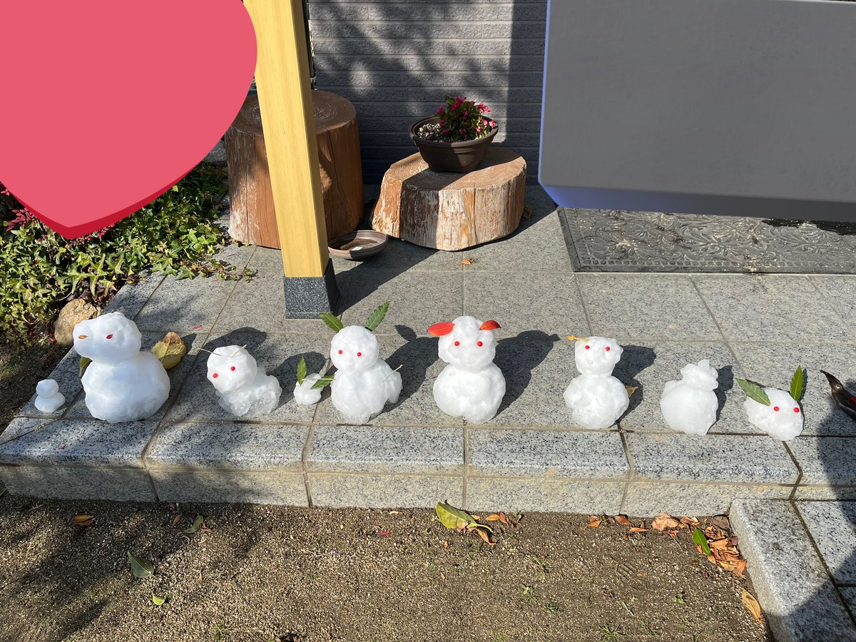 mejiro_3rd's tweet image. 仲間が増えました