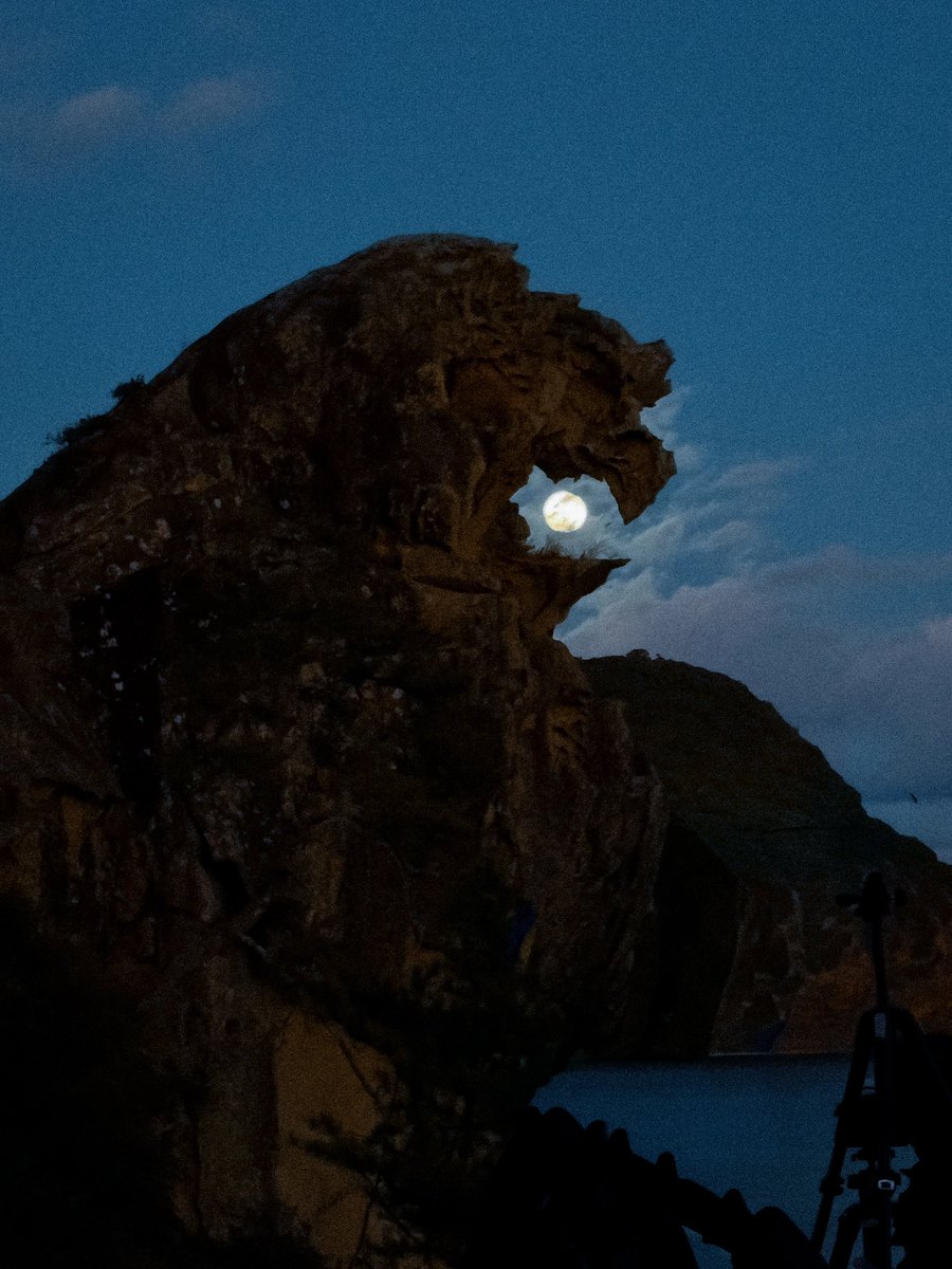 正月ずっと熊野にいる
獅子岩と満月。
こーゆー時に一眼持ってないの流石すぎる