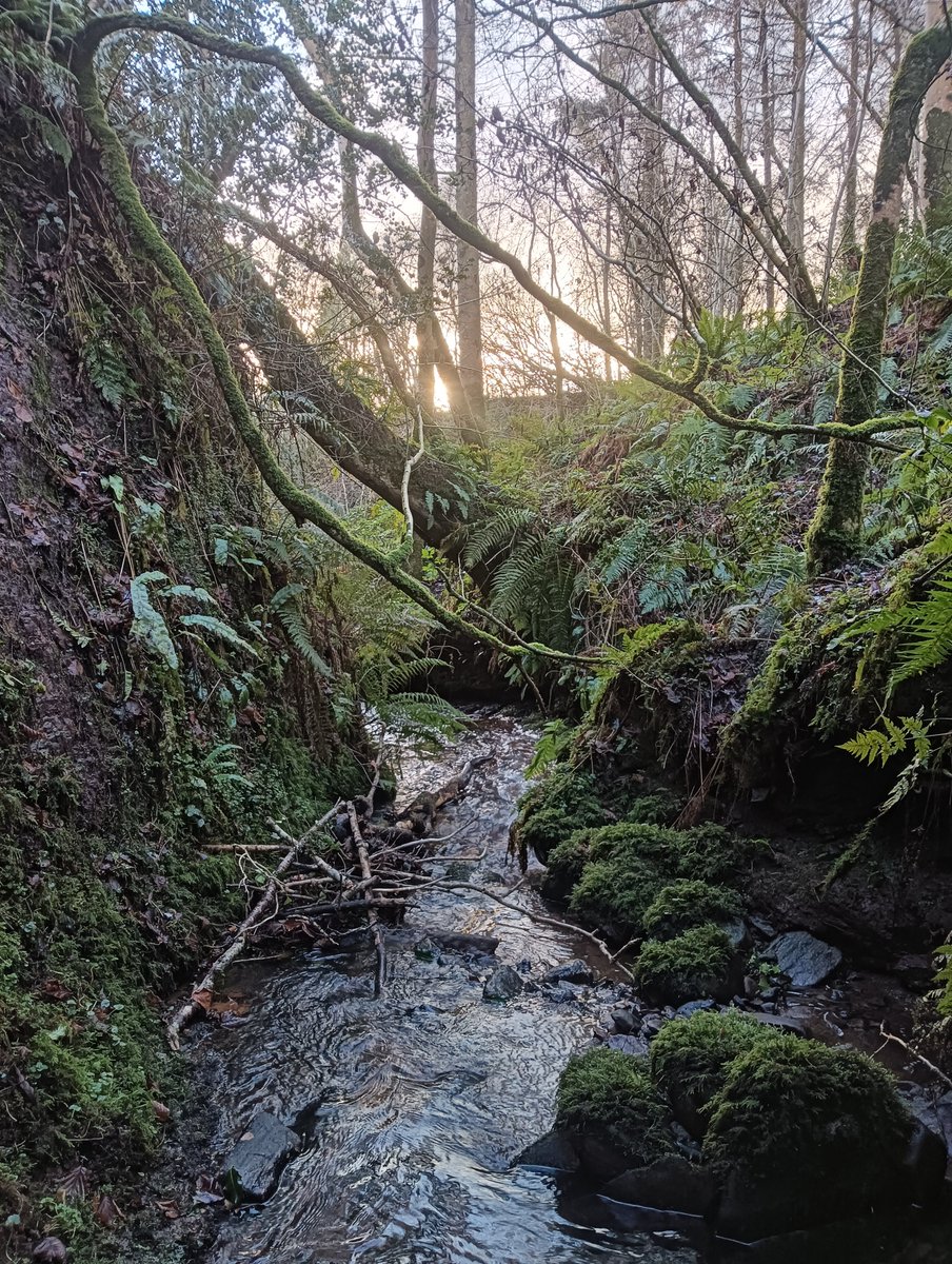 Donna Rainey tweet media