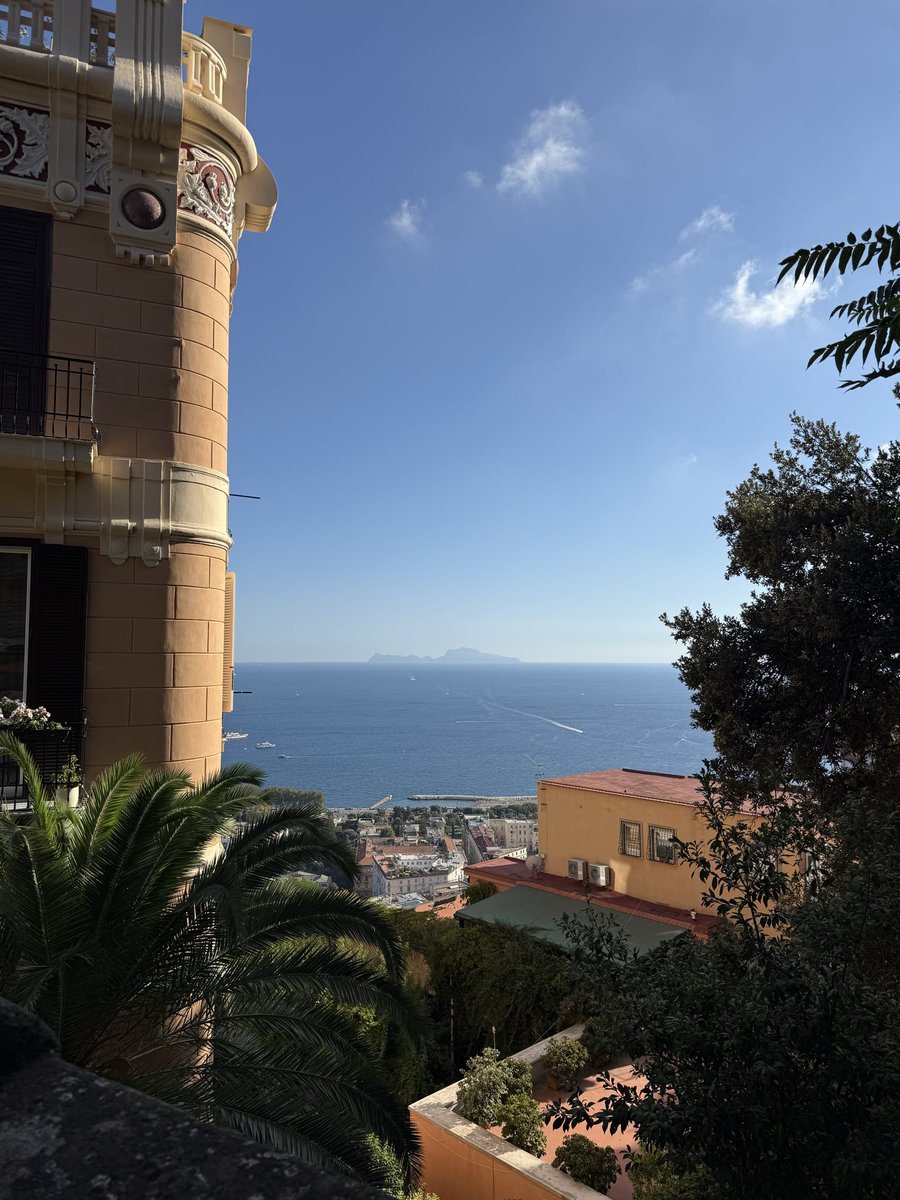 yesilNFT tweet media