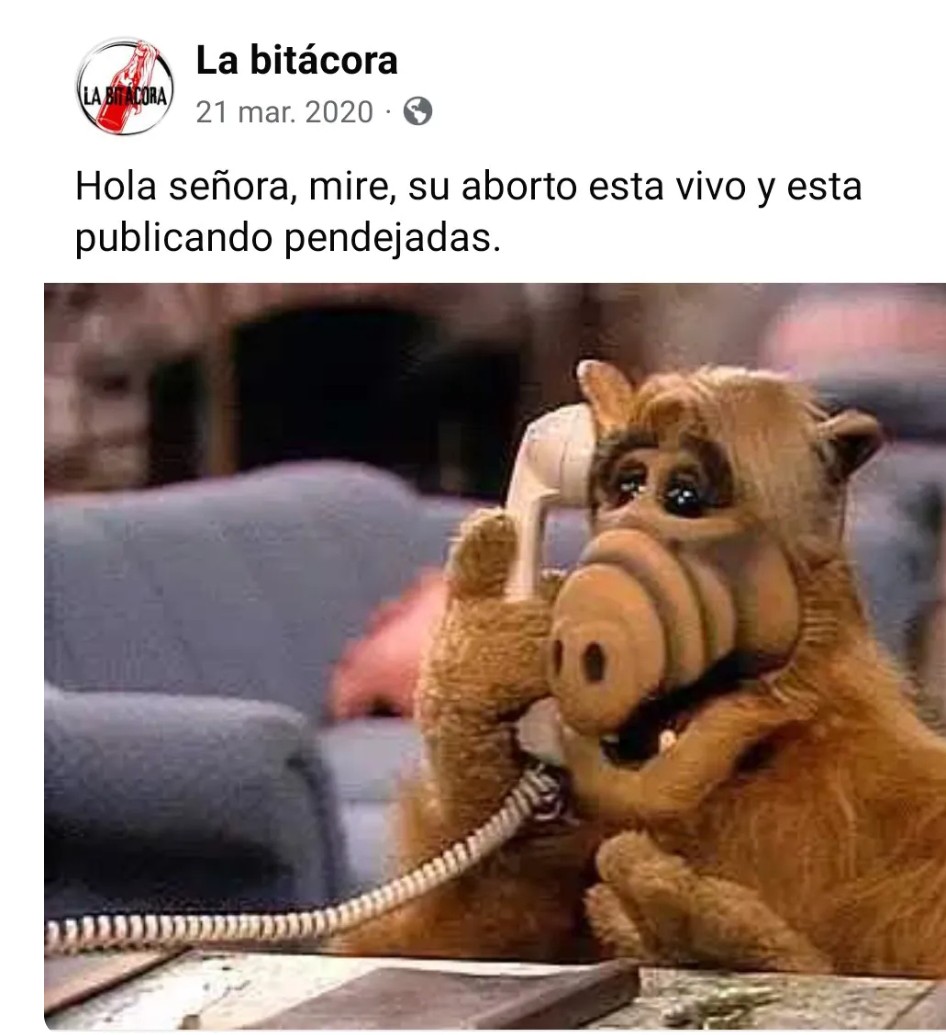 <a href="/AlinaDuarte_/">alina ɗuarte</a>