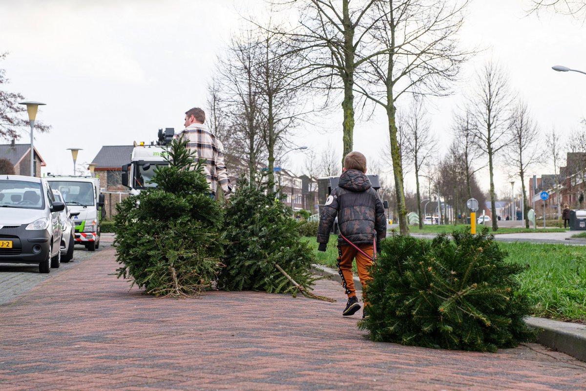 ROVA's tweet image. 🎄 Doe je mee met de kerstbomenactie in Zwolle? Op 7 en 14 januari kunnen kinderen 10 kerstbomen inleveren voor 1x gratis zwemmen bij De Vrolijkheid. obi41.nl/2p88ybz3