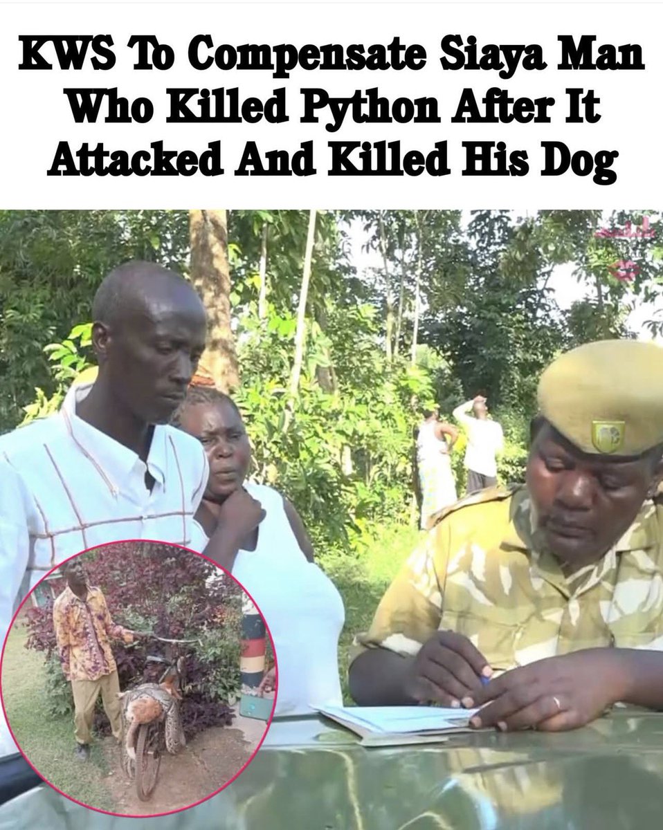 In this life audacity will take you places. 2026 have Audacity loads of it.