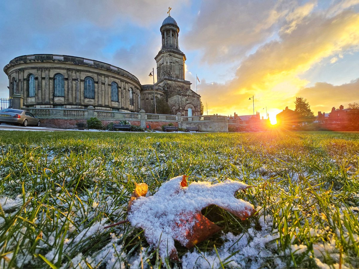 Liam Ball tweet media