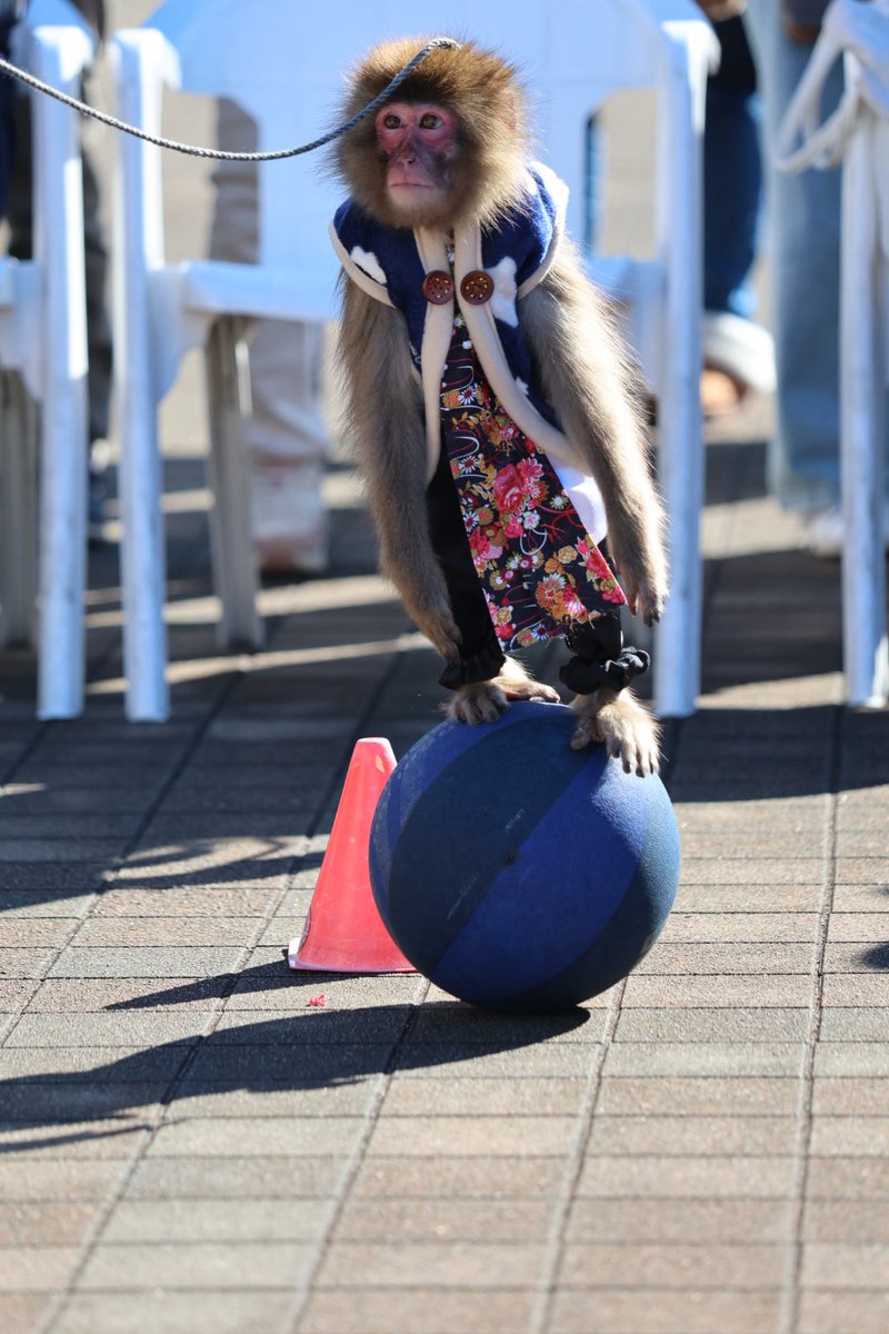 なおこ (@705x5) / Posts / X