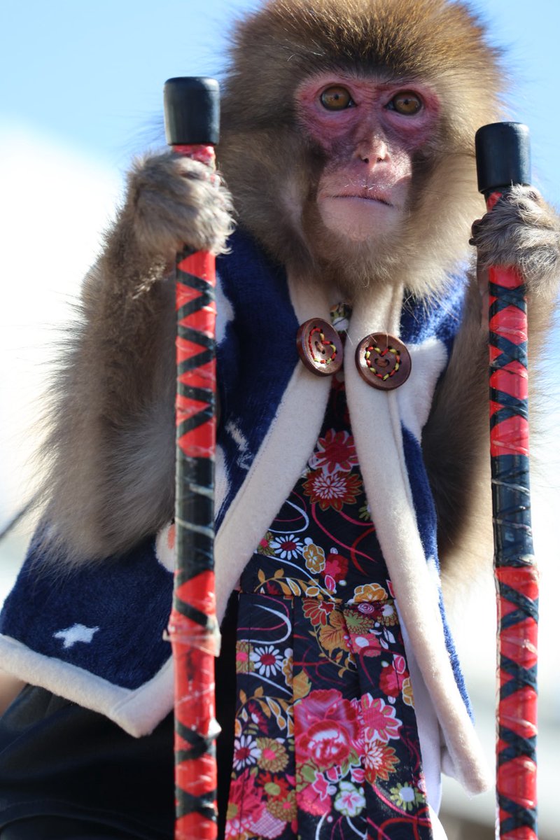 なおこ (@705x5) / Posts / X