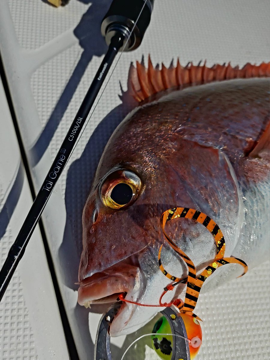 1月3日駿河湾】 迷わず巻け巻けばわかるさ。 ありがとーっ！ Rod