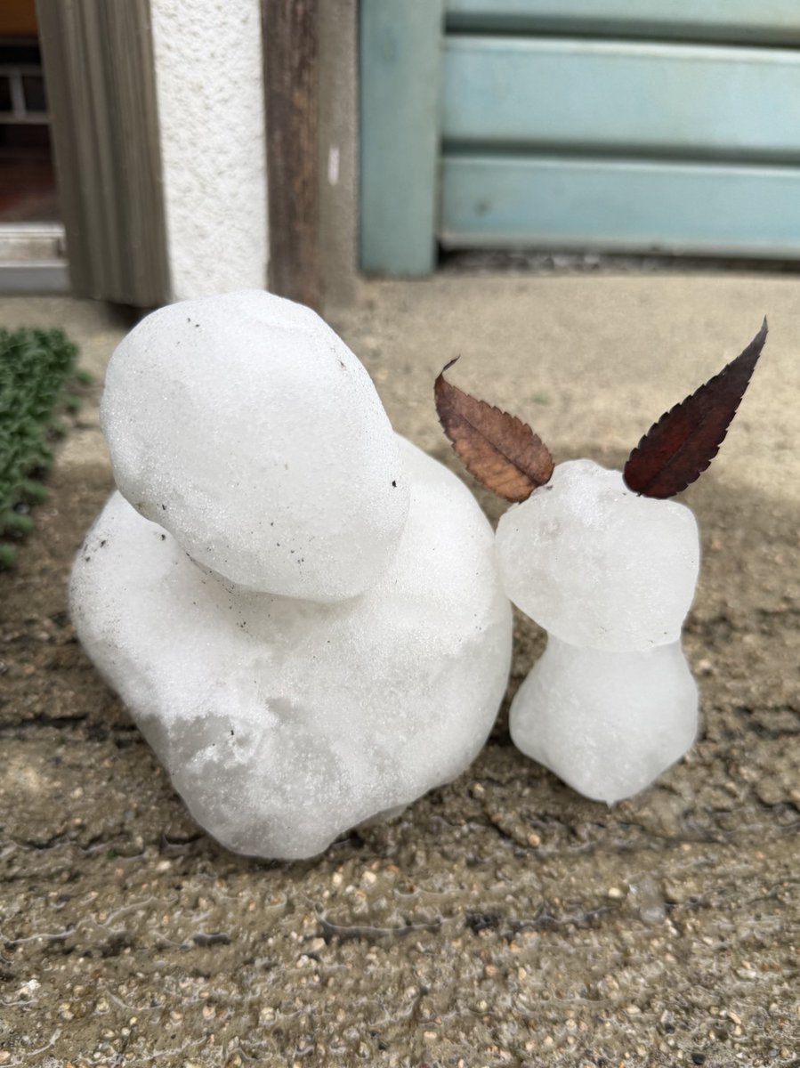 Post by みっちー on X: ＼コンニチワ／