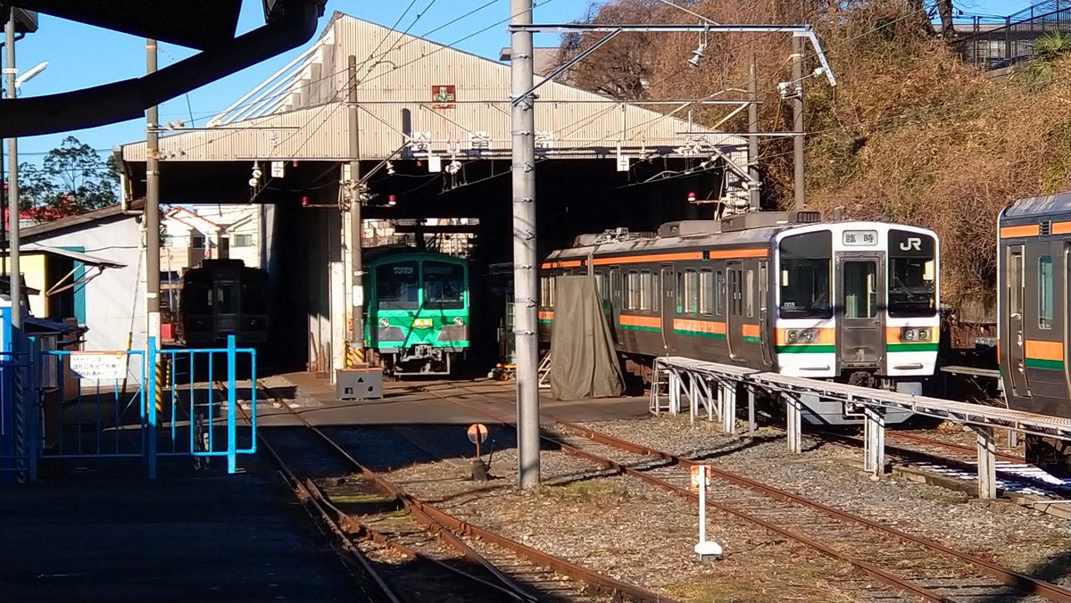 多賀康子 tweet media