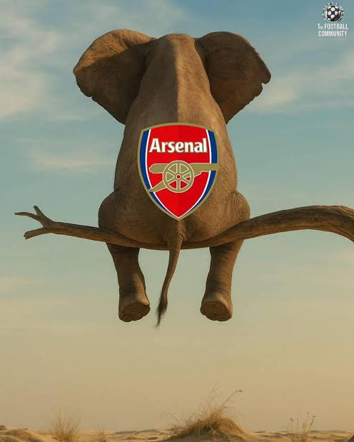 Arsenal 2025.             Arsenal 2026