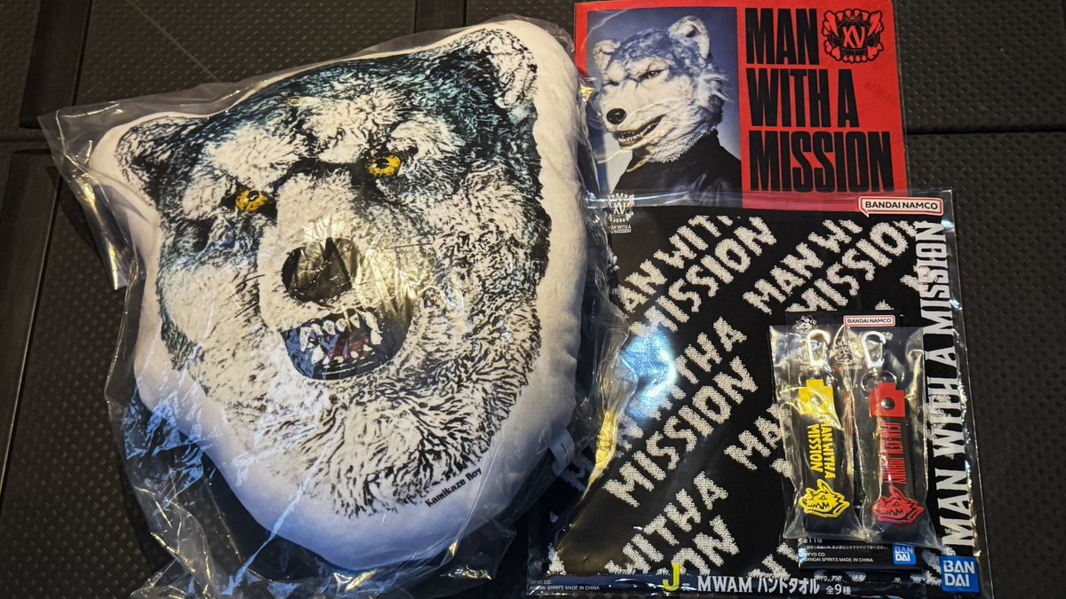 一番くじ マンウィズ セミコンプリートセット クッション マグネット