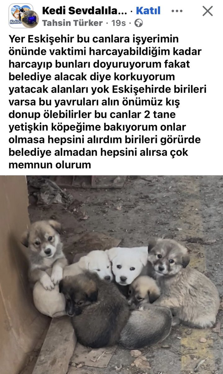 Eskişehir'de kurtarılmayı bekleyen yavrular var. Paylaşım Facebook'tan beyefendiye oradan ulaşabilirsiniz 🙏