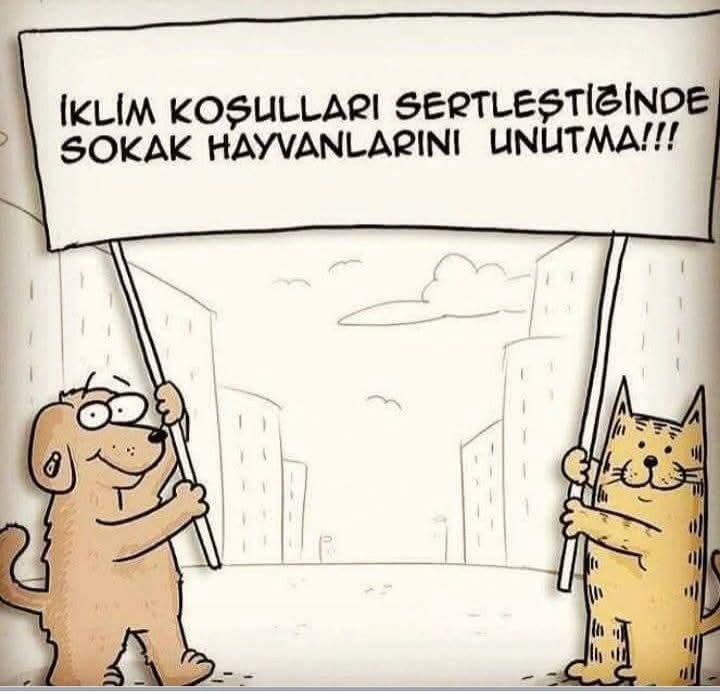 Emel Onur Kuzu (@emelkuzu14) on Twitter photo 