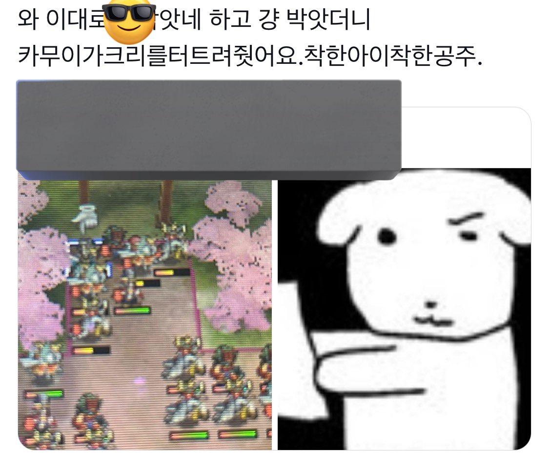 불역파🔥 tweet media