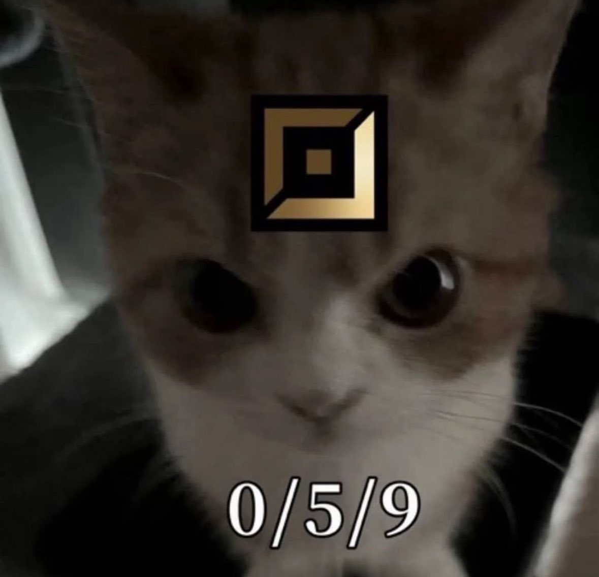 1v9gg's tweet image. 