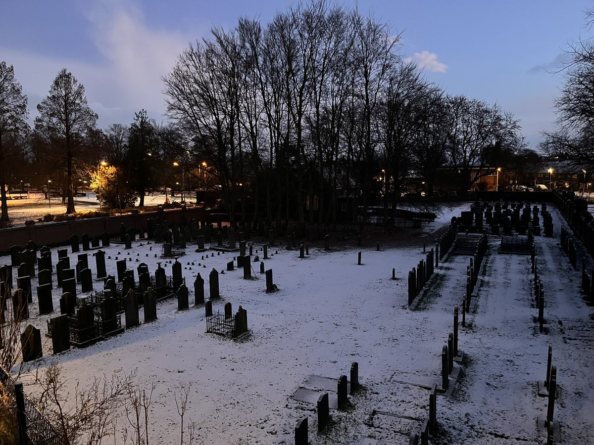 Friso Geerlings tweet media