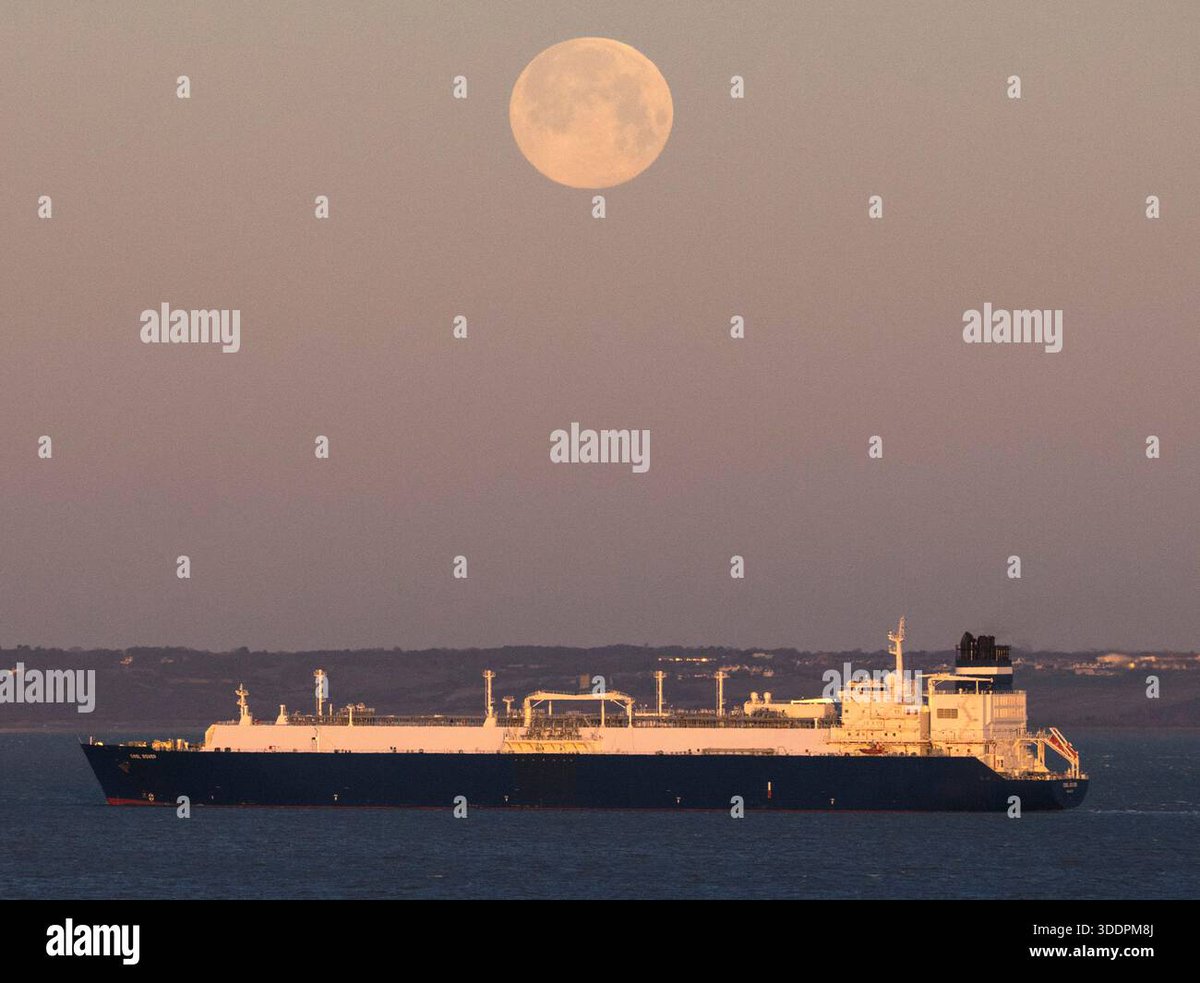 foto_bell's tweet photo. Stunning Wolf Supermoon seen setting over Thames from Minster on Sea, Kent, UK this morning. Pics @Alamy_Editorial https://t.co/d7OpbZT7iq #WolfMoon #kent #ukweather @TelegraphPics
@guardianphotos @Metropixdesk @Mailonlinepics @SunPictureDesk @Mirror_Pictures @Express_Pics https://t.co/SJIuQeHsxN