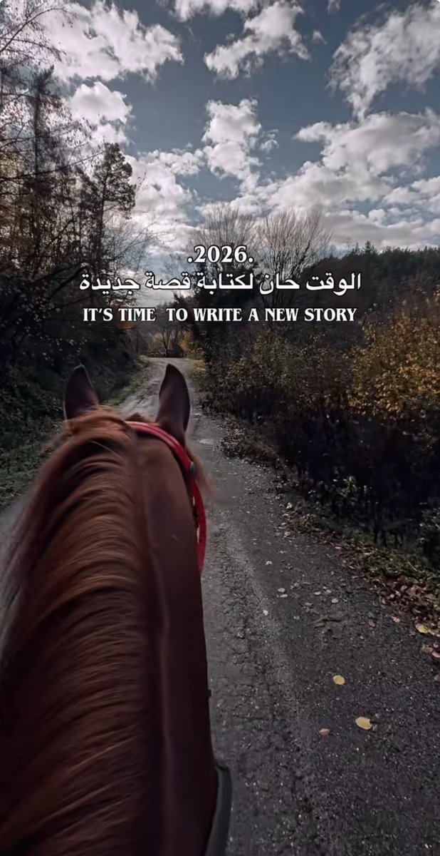 ColorfulRr's tweet image. 