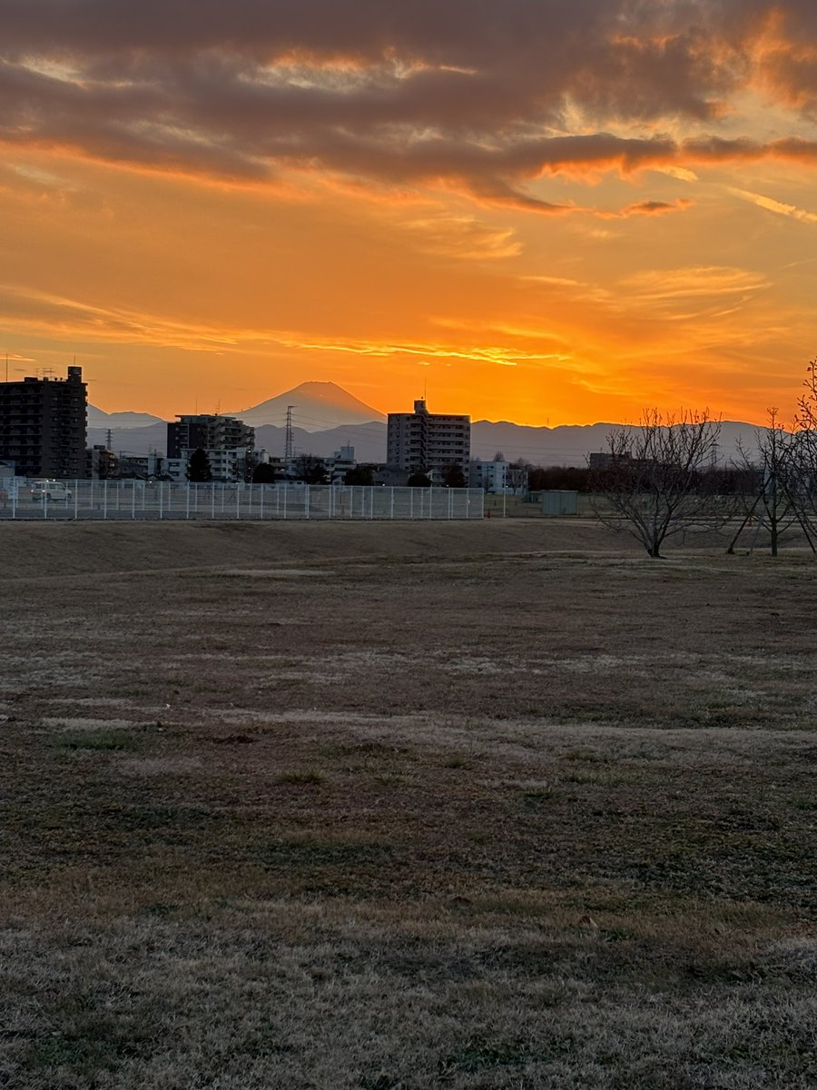 毎度の事やけれどバタバタと新年を迎え…
最近は毎晩猫とイチャイチャして寝ている、いやまともに眠れてるのか？🐈
初日の出は見なかったが、大晦日に夕陽は見れた🌆
紅白は中途半端に見たような見てないような🎤

今年もどうぞ宜しくお願いいたします。
