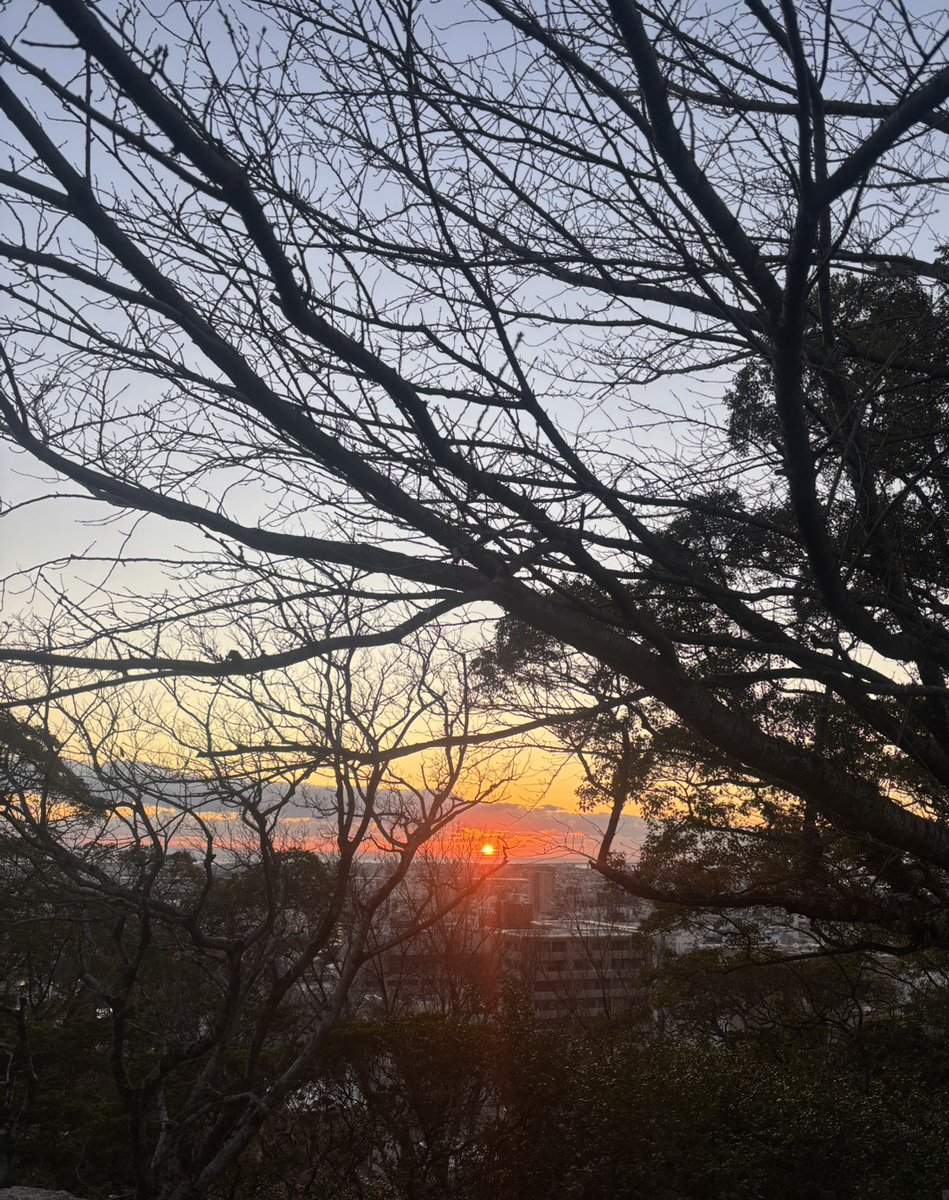 海月ページ 立体海月図鑑 – 株式会社ザ・アクセス-TheACCESS-