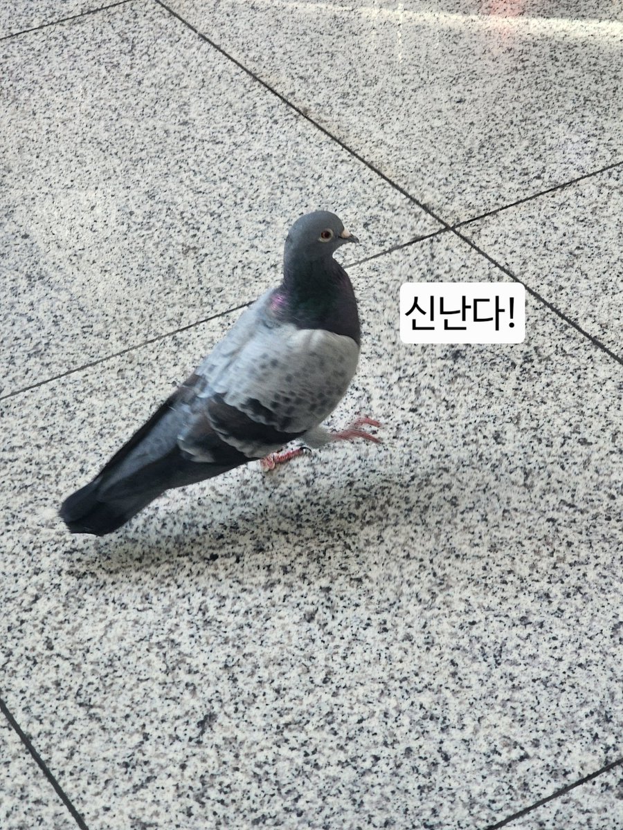 우명온2 너무 좋앗고 제정신이 아니어서 행사장 사진 찍은 게 없네요...
우성명헌은 (정말) 책이 많아
고장난 오디오마냥 근데 진짜 행사 너무 좋았어... 하고 94번 정도 말했어요.. 
근데 진짜 행사 너무 좋았어요.. 
우명온3도 열어주셔서 감사합니다 (서동요)

#우명의_빛나는_순간
#9TIMES_4LOVE