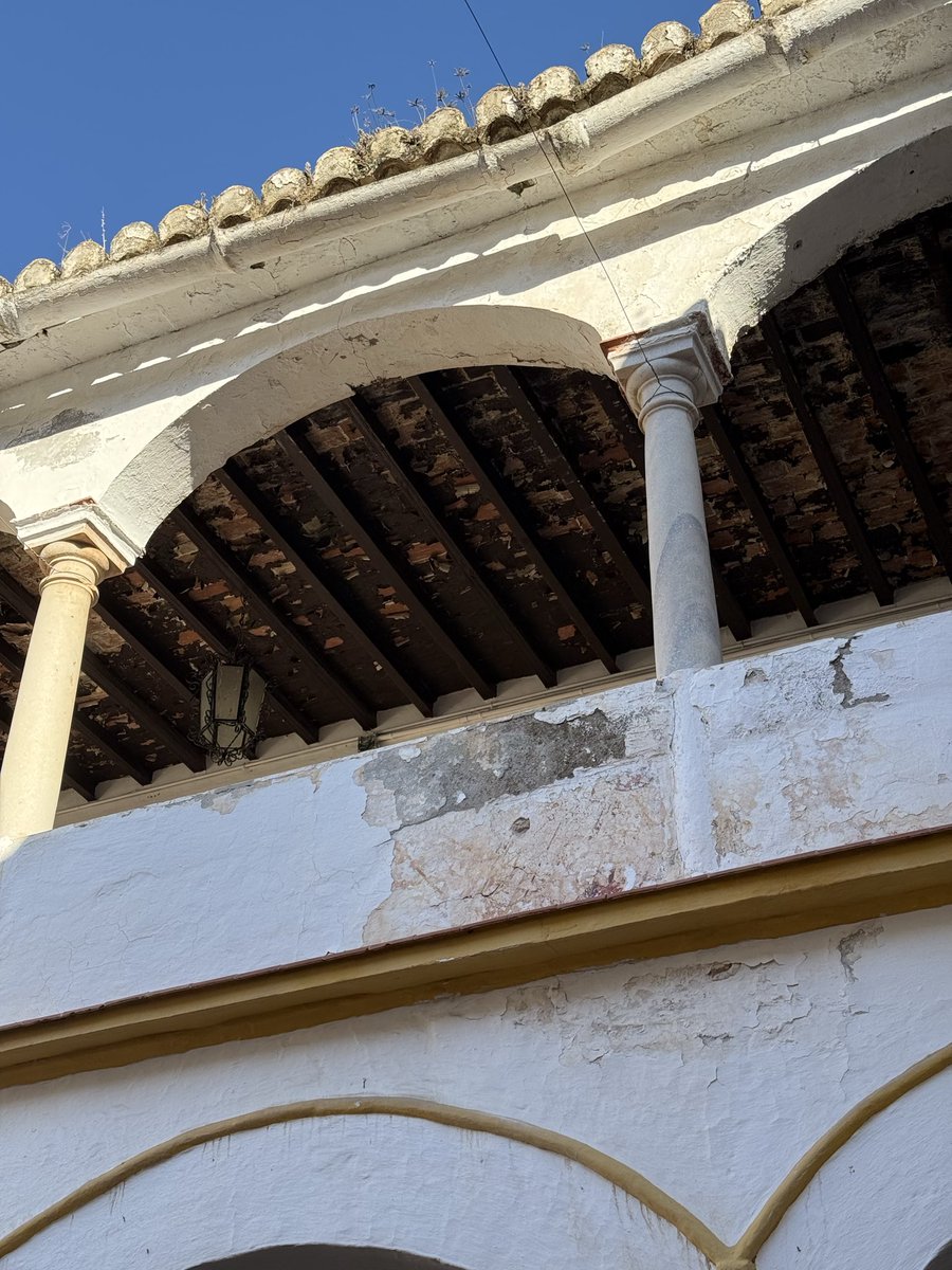 Fran Campos ۞ tweet media