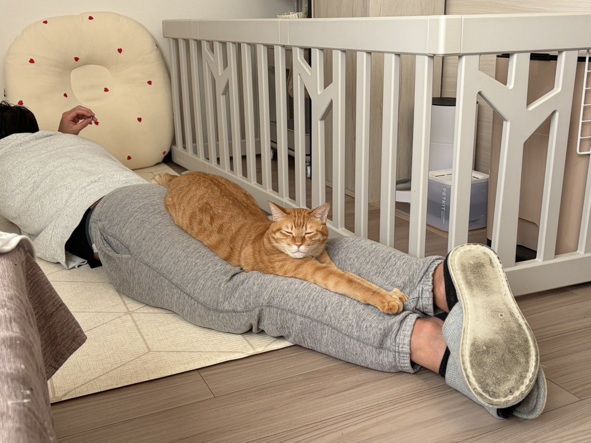 2026年もよろしくお願い致します🎍
確実に良い年にします！