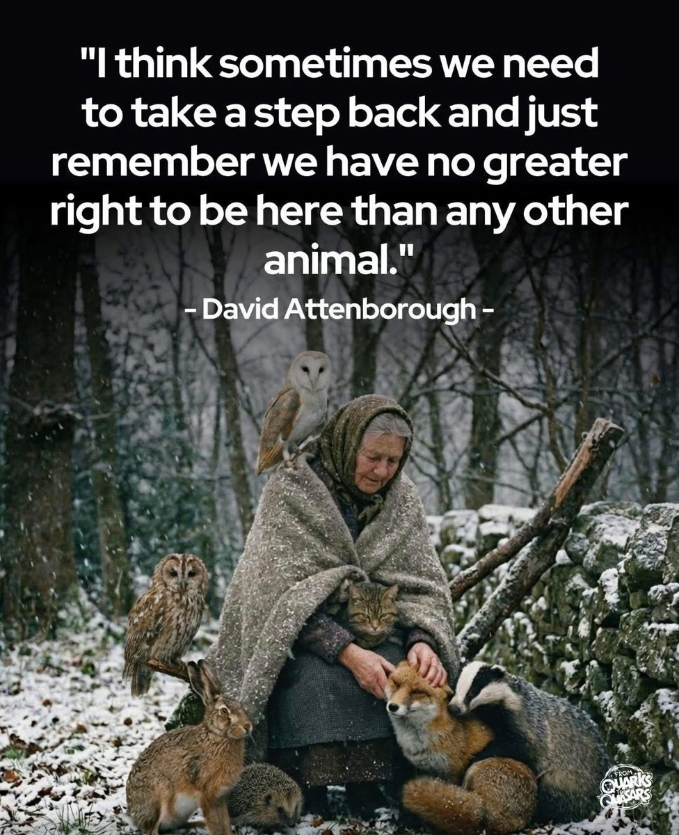 domdyer70's tweet image. Should be everyone’s New Year Resolution