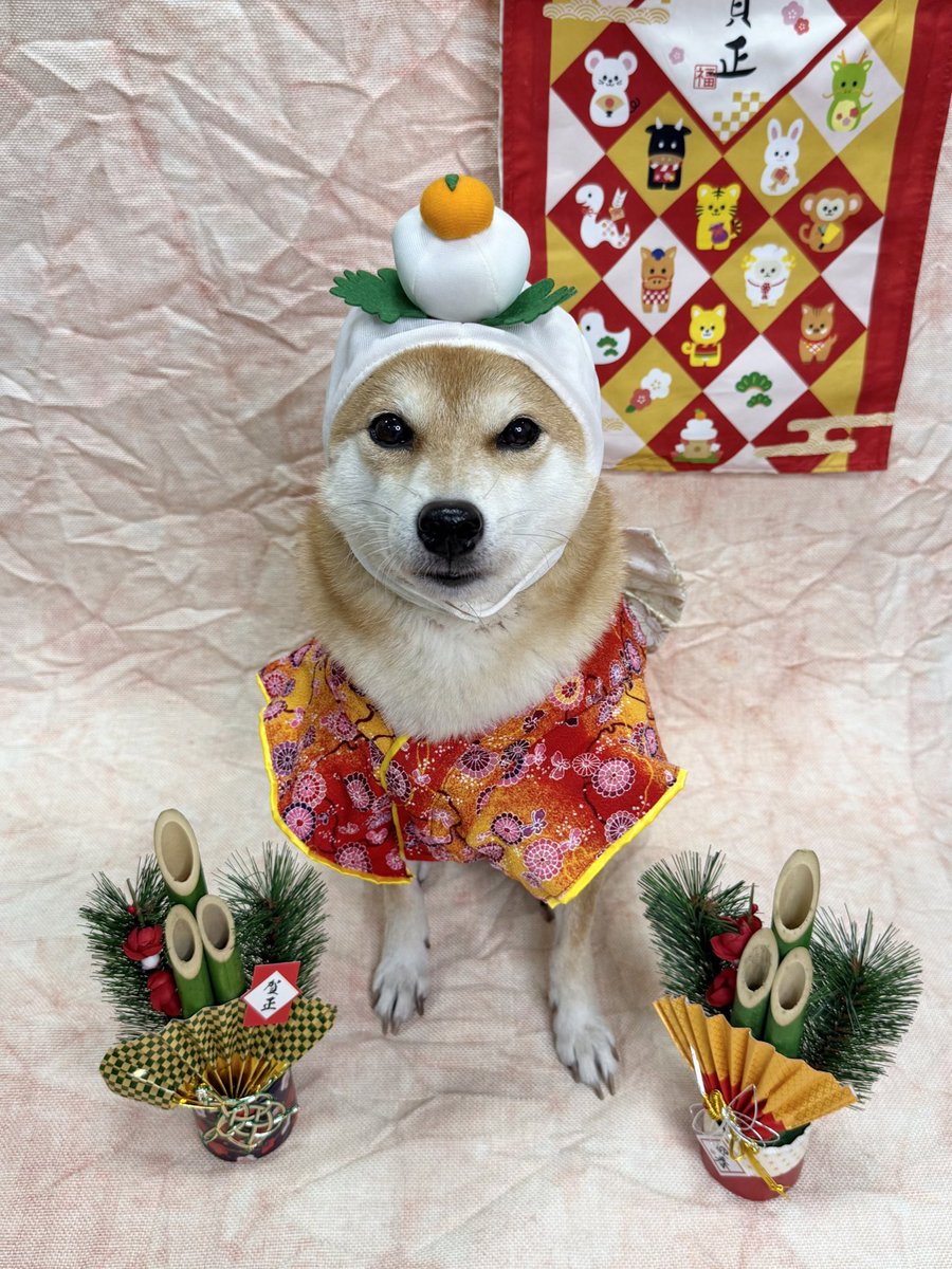 ZOO (@zoo_japan) / Posts / X