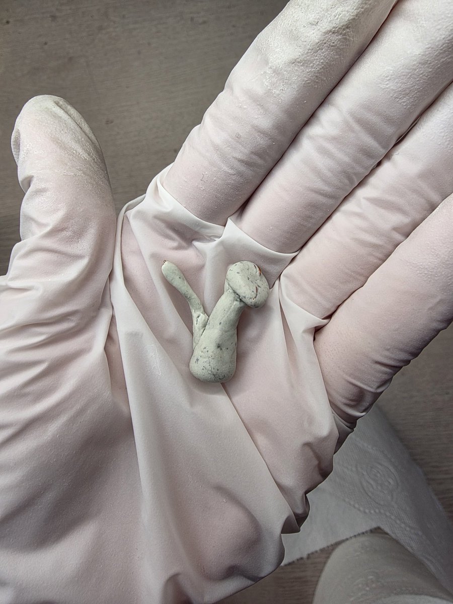 shop_Stars_M's tweet image. 핼리의 단짝동물친구 둘을 소소하게 제작중입니다!
무슨 동물인지 아직 비밀.🤫
추후 어떤 동물이 될지는 과정을 천천히 올려보겠습니다!😄
#figure #doll #minature