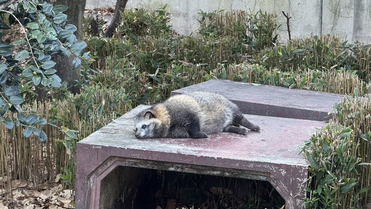 六/写真 (@roku6photo) / Posts / X