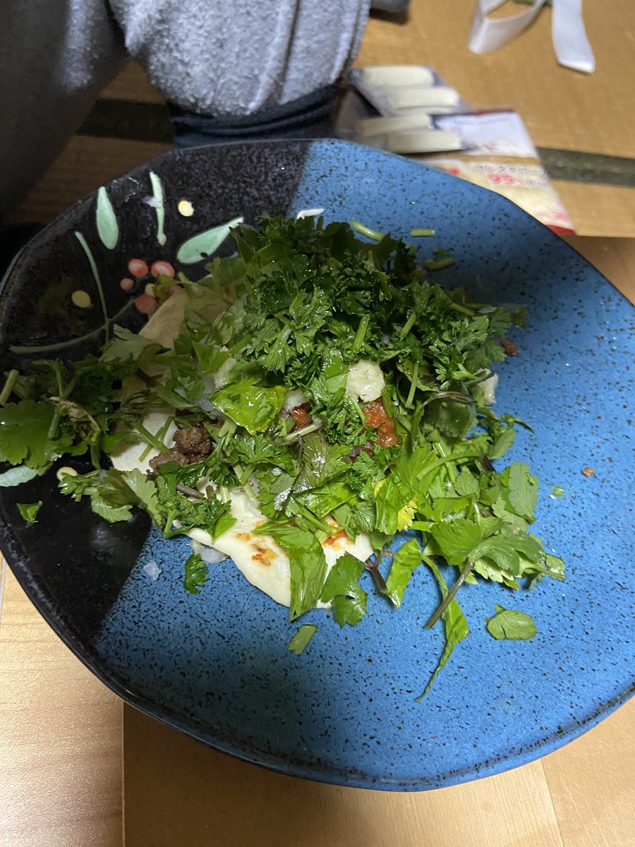 カイトのタコス草まみれで草
そういう食べ方がいっちゃんうまいんよな…