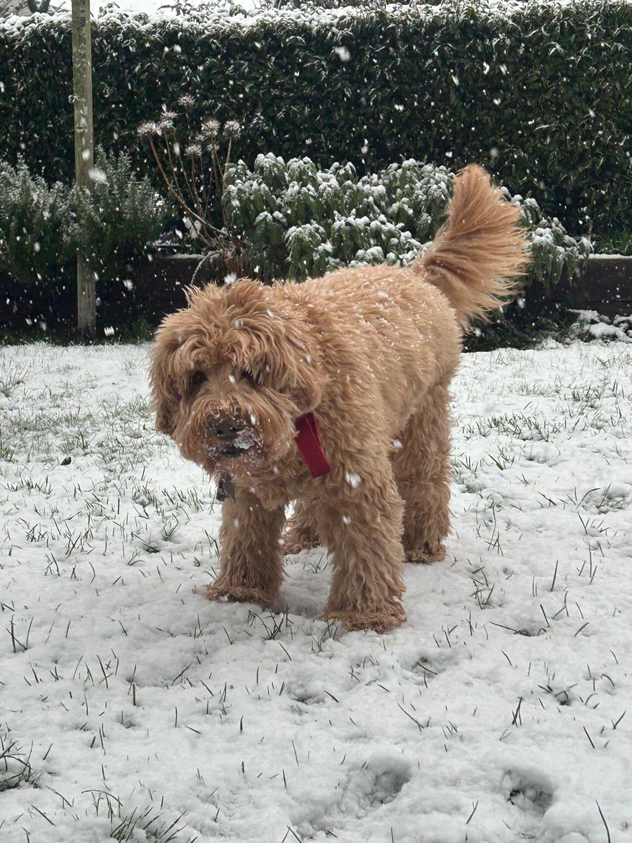 Mike_Drop1's tweet image. 