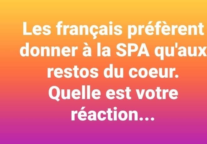 LolitA🌸🦋 tweet media