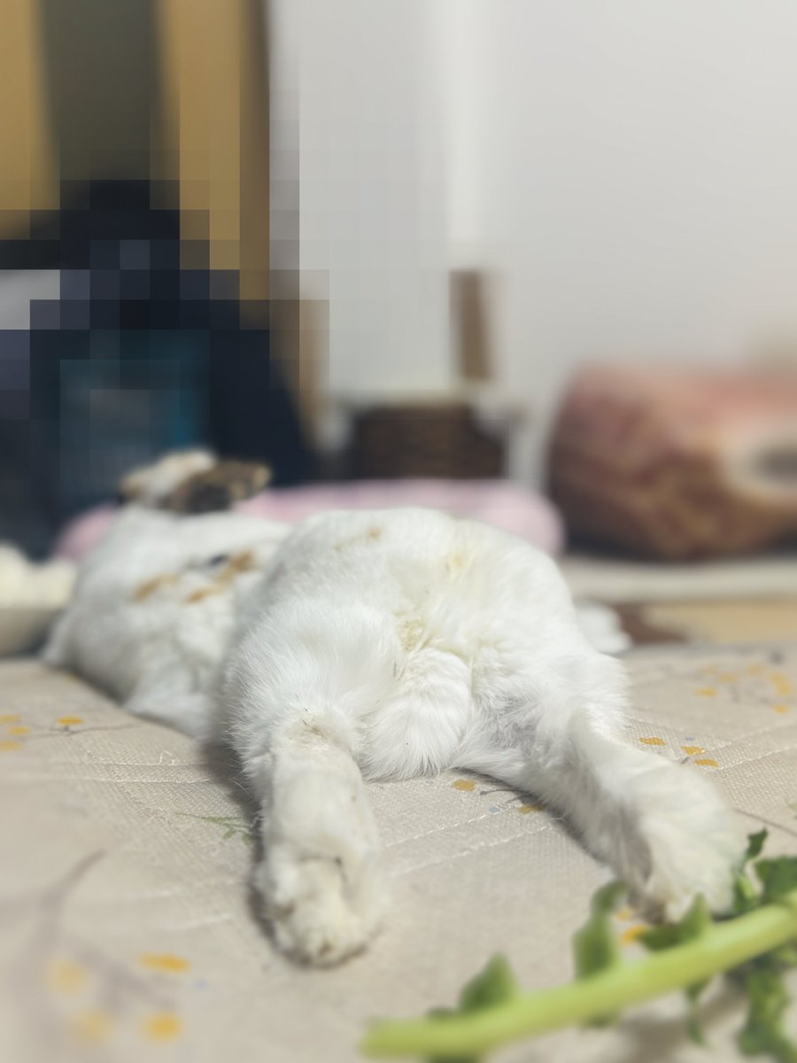 すぎひろ⁸¹⁰㍈㍿ tweet media