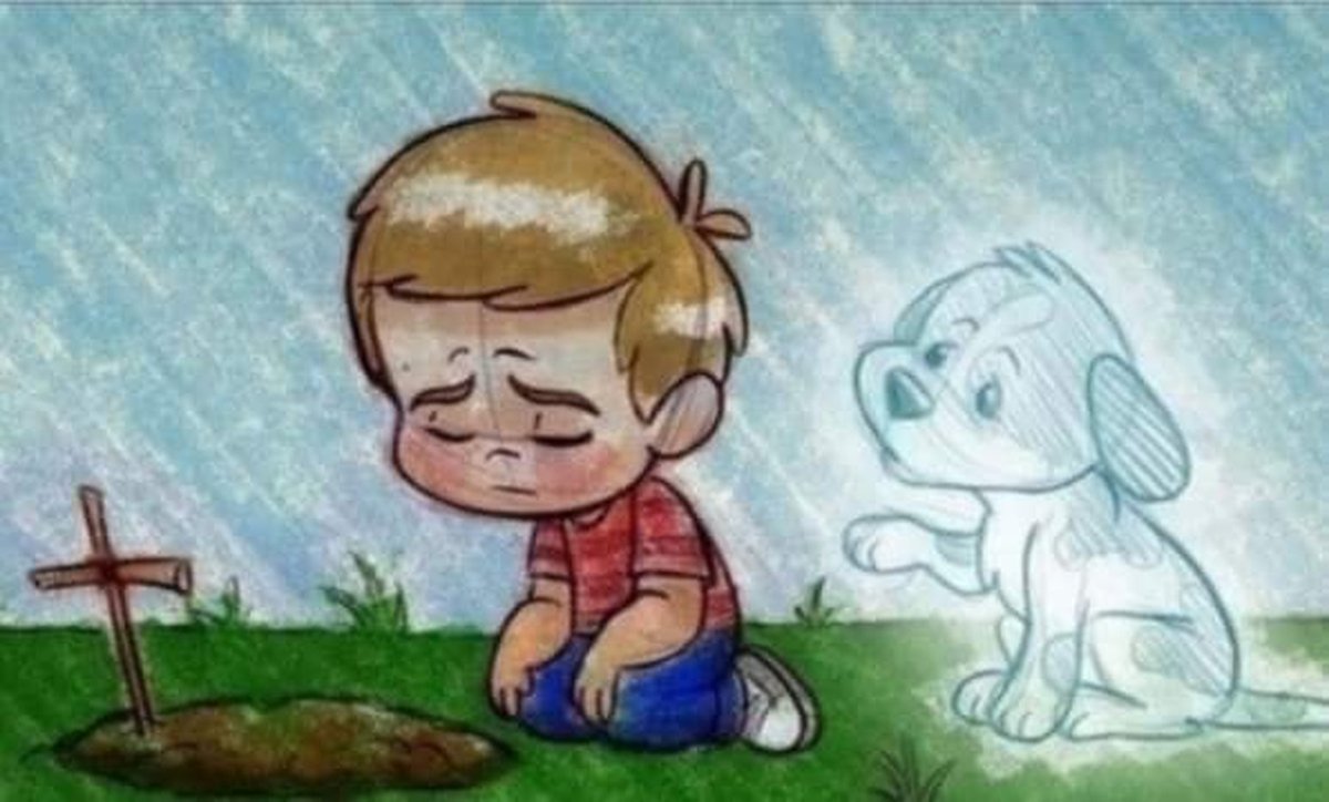 I loved you your whole life, I'll miss you for the rest of mine 💔