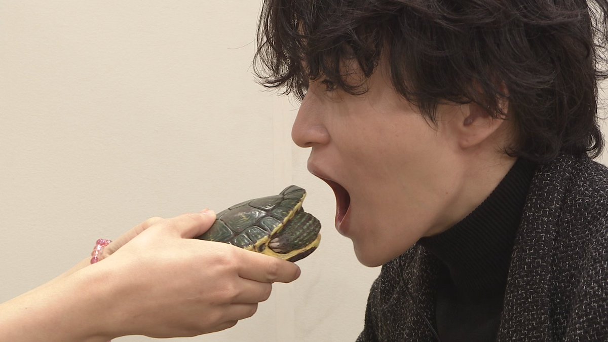tetsuwan_DASH's tweet photo. ／
あす夜6時30分！3.5時間SP
#ウルトラマンDASH
＼

名物企画
『本物そっくりスイーツを見破れるか⁉️』

ウルトラマンDASHチーム💪
　松島聡、藤原丈一郎、堀田茜

VS #ニノさん チーム
　二宮和也、菊池風磨、吉村崇

カブトムシを⁉️カメを⁉️
果たして食べられるスイーツなのか…🫨 https://t.co/99PGzliboR