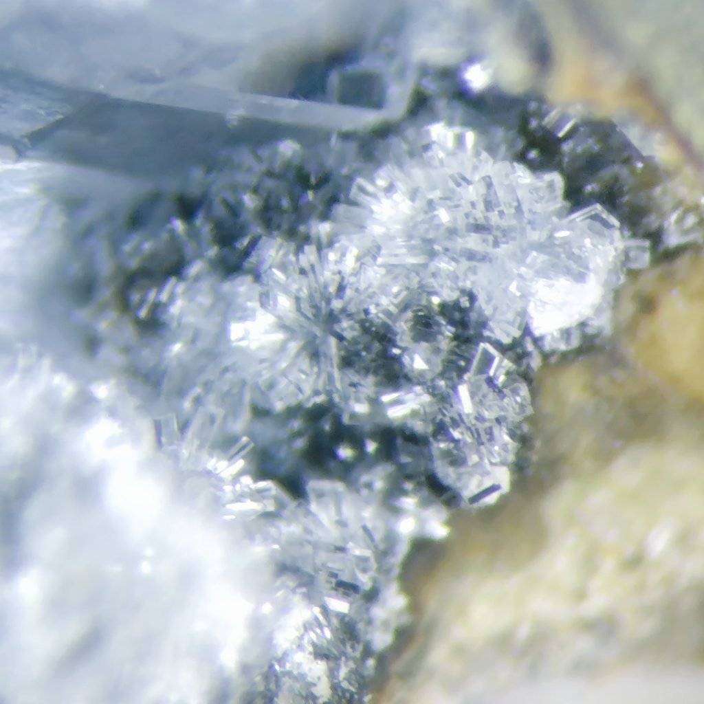 microscope0840's tweet image. 太平洋側から連れてきた謎沸石
名前が分からないので整理して未来の自分に託します📝

輝沸石と共生
小さな板状結晶
集まって球状になっている
輝沸石として紹介している採集HPあり
顕微鏡で見るとかわいいので気が向いたらまた見て欲しい