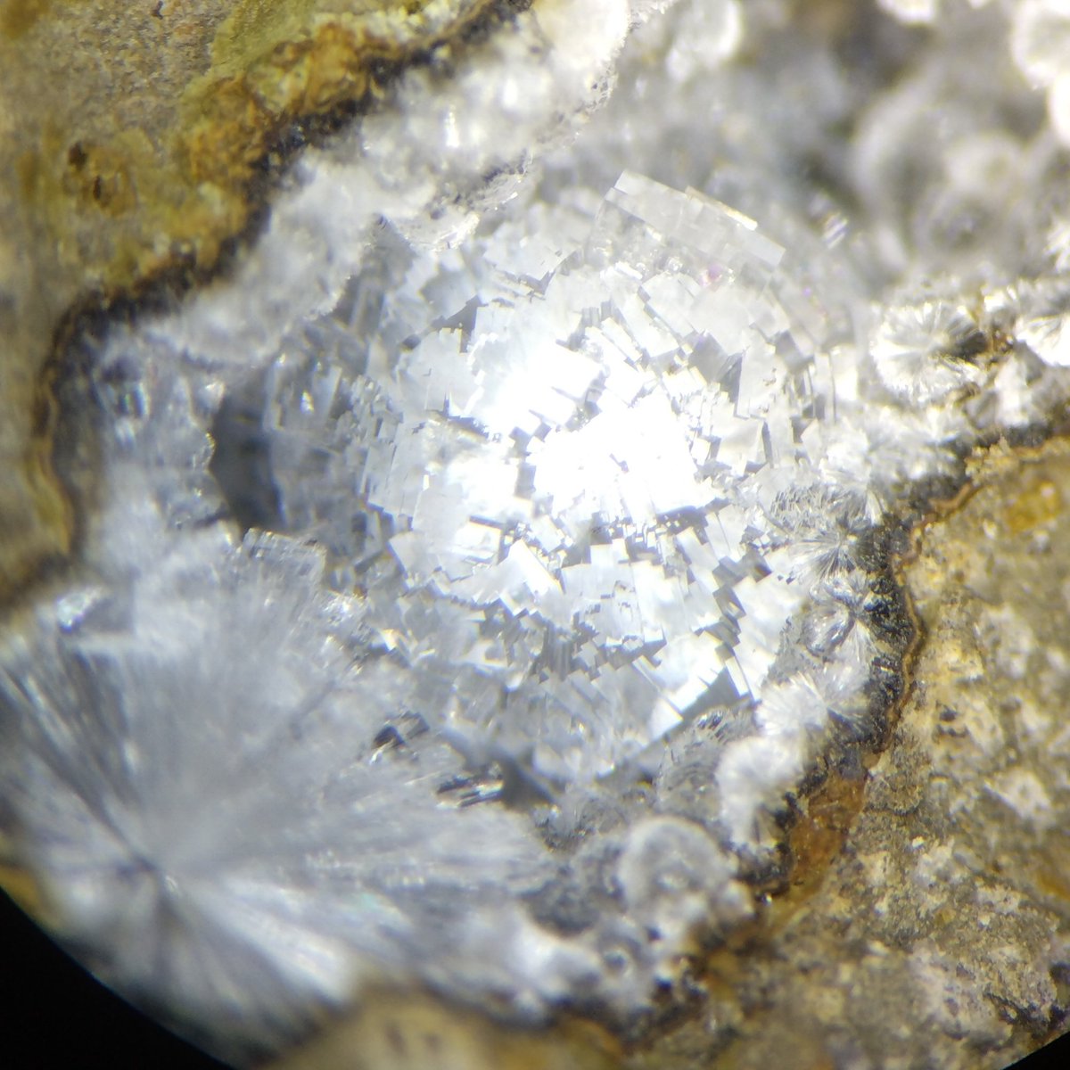 microscope0840's tweet image. 太平洋側から連れてきた謎沸石
名前が分からないので整理して未来の自分に託します📝

輝沸石と共生
小さな板状結晶
集まって球状になっている
輝沸石として紹介している採集HPあり
顕微鏡で見るとかわいいので気が向いたらまた見て欲しい