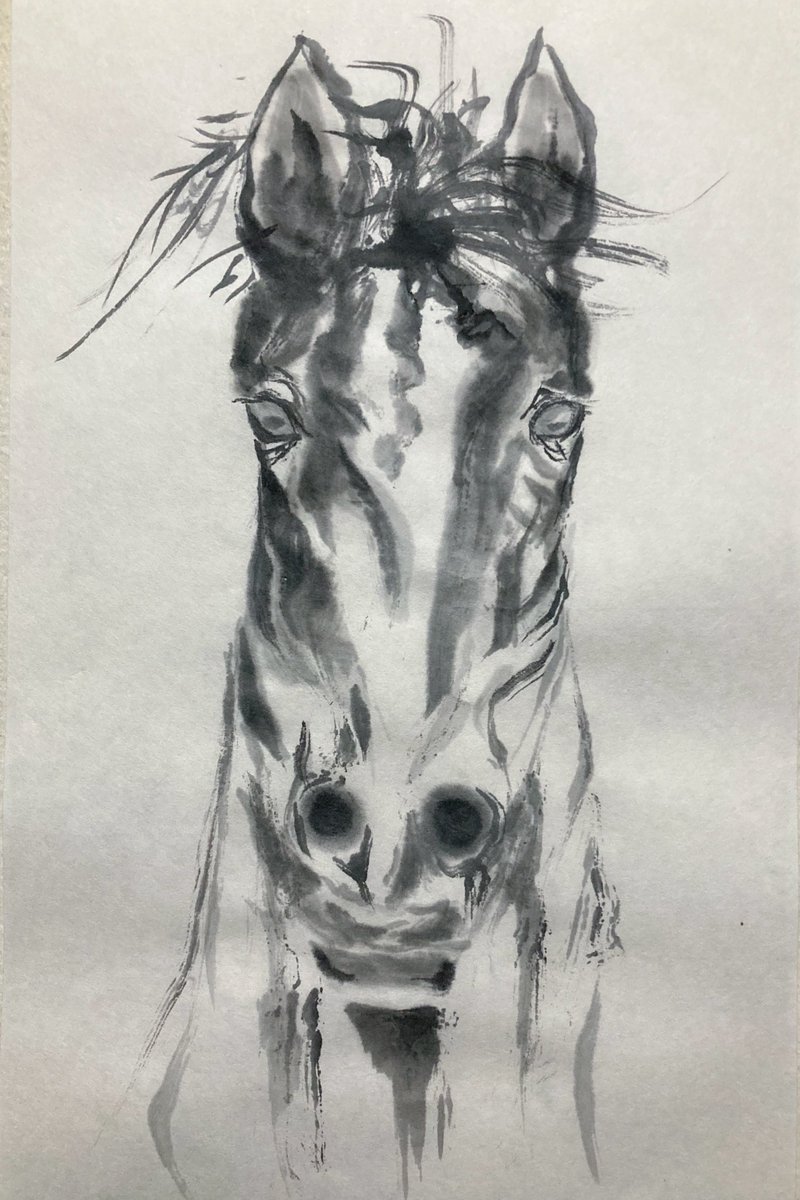 atarashi111's tweet photo. 馬らしきものを描いた図。午年だもの。 https://t.co/NLL3gA0At6