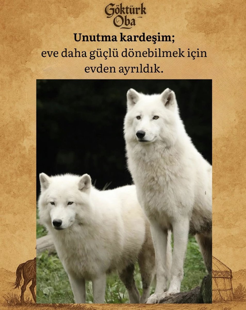 #SedatPeker <a href="/sedat_peker/">Sedat Peker</a> 
VAR OL KURTLARIN ATASI
CANSIN KOCA REİS 
EN YAKIN ZAMANDA İNŞALLAH 
🇹🇷 ***BİR UMUTTUR YAŞAMAK*** 🇹🇷