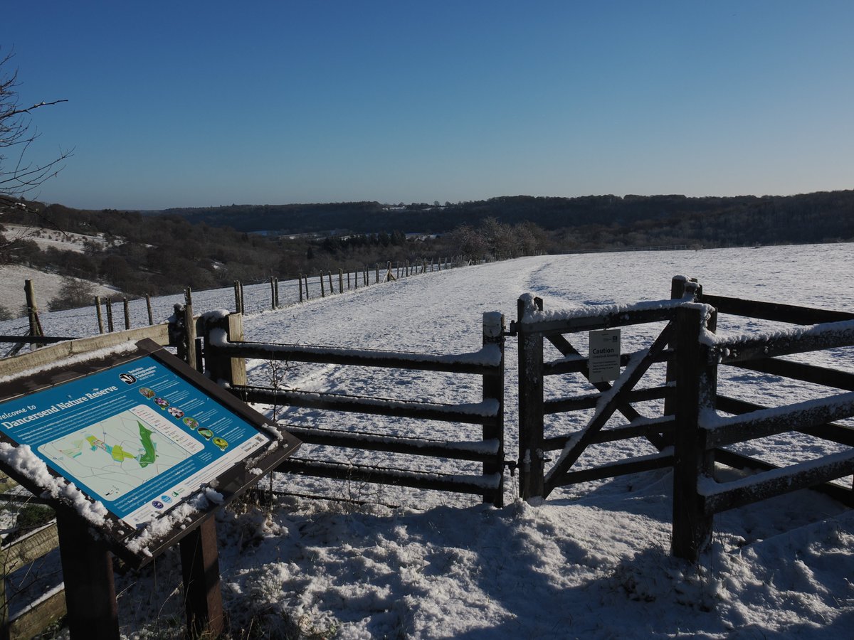 Mick Jones tweet media