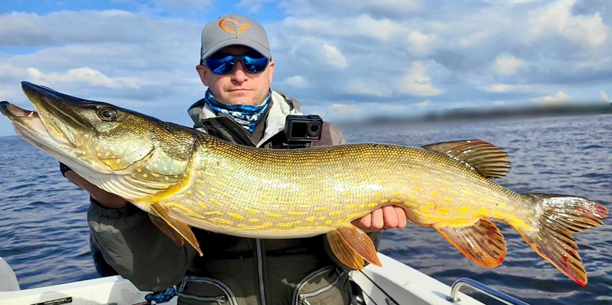 kalkowski_m's tweet photo. Big Pike from Rügen 🔥 
#przewodnicywedkarscy
#savagegear https://t.co/CFHsSBWM5U