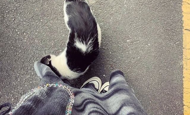 1023harbin's tweet image. ningning core ♡